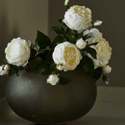 Neptune Peony Bundle  Online