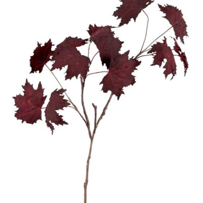 Neptune Maple Leaf Twig  Clearance